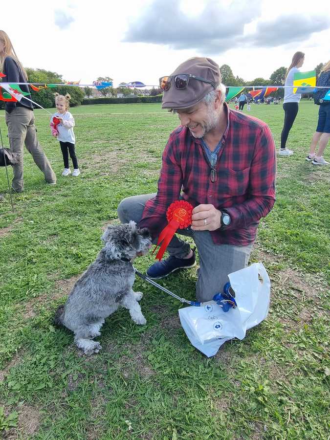 winner dog show